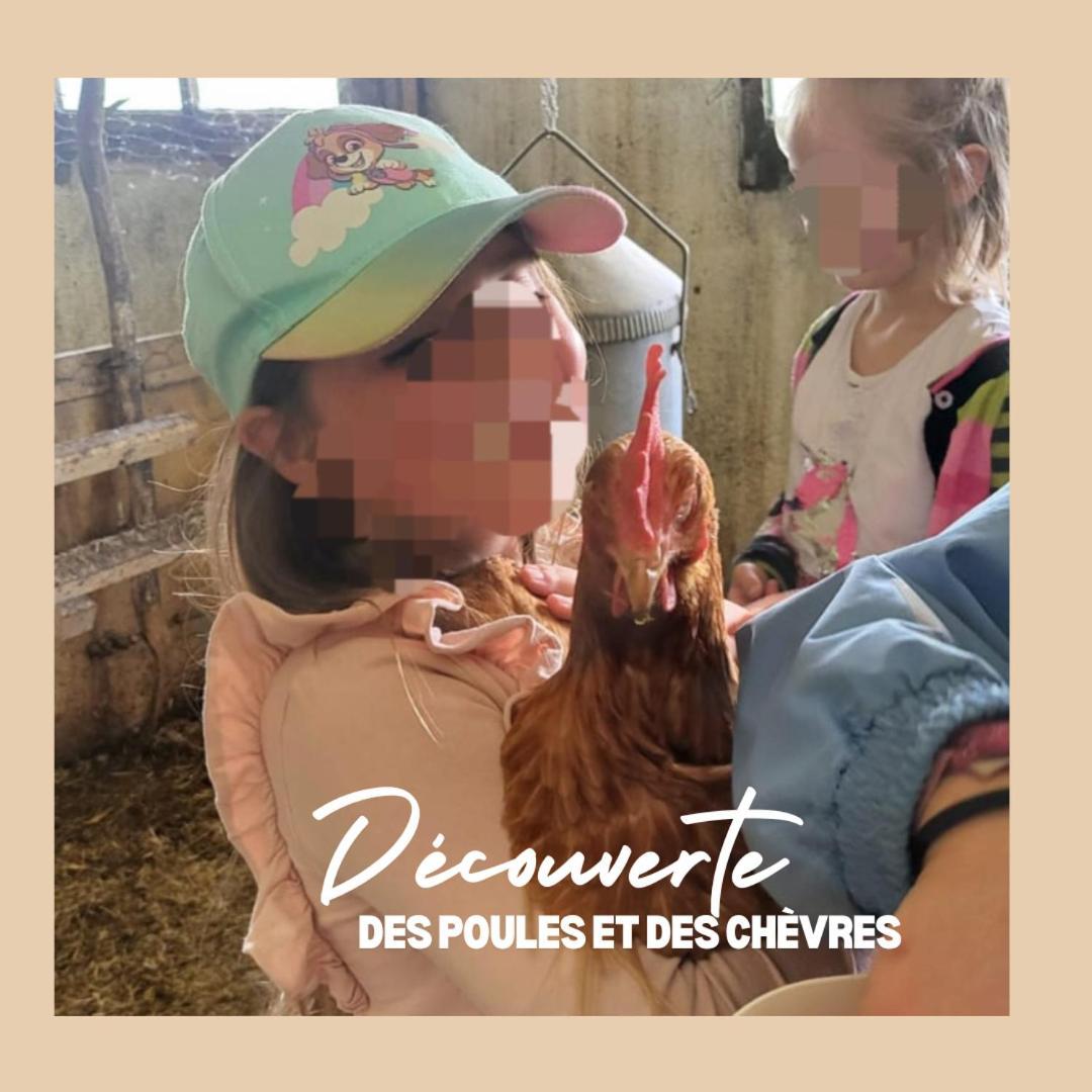 CourcelonLa Ferme Du Solvat公寓 外观 照片
