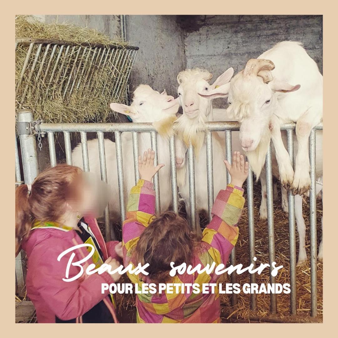 CourcelonLa Ferme Du Solvat公寓 外观 照片