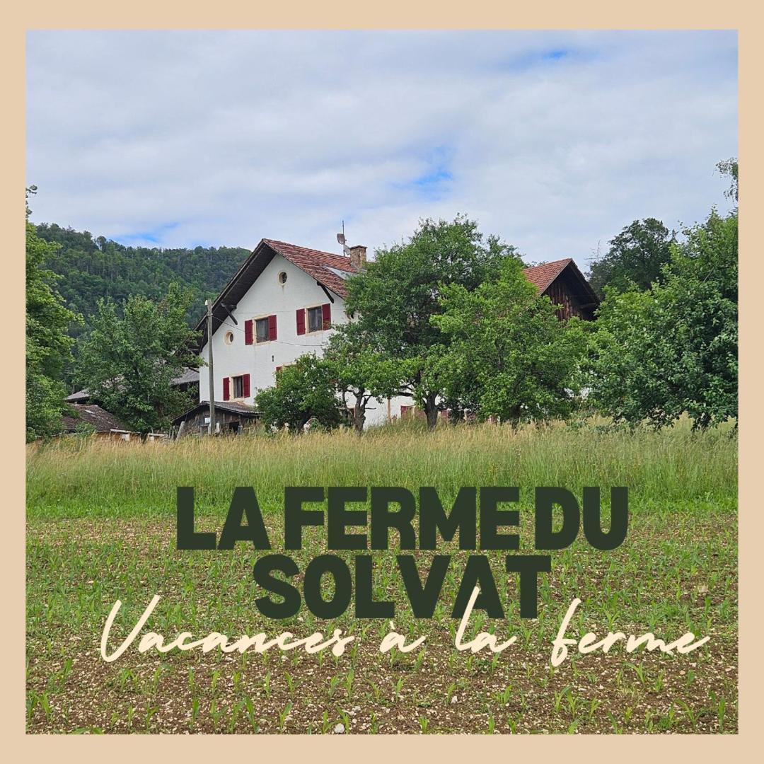 CourcelonLa Ferme Du Solvat公寓 外观 照片