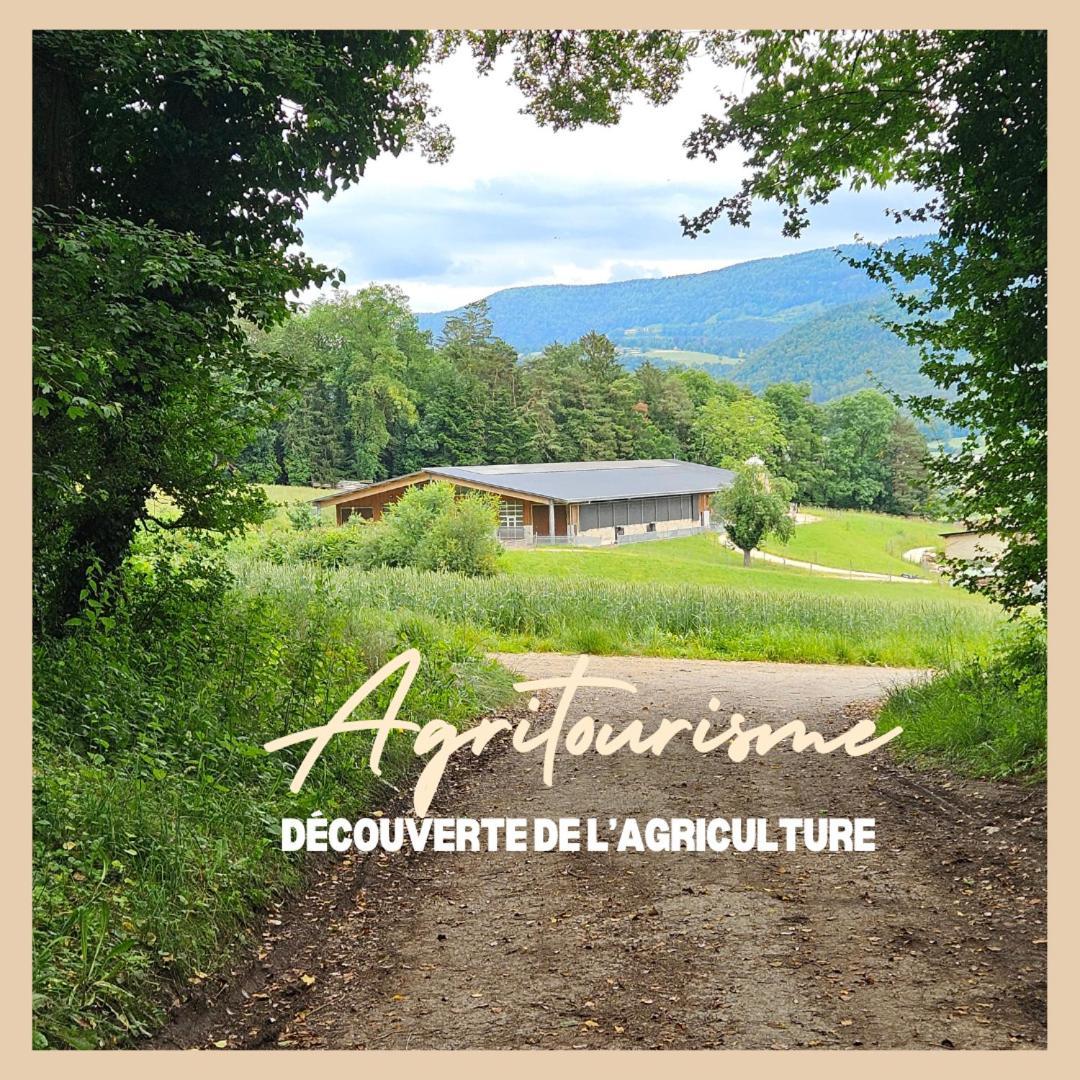CourcelonLa Ferme Du Solvat公寓 外观 照片