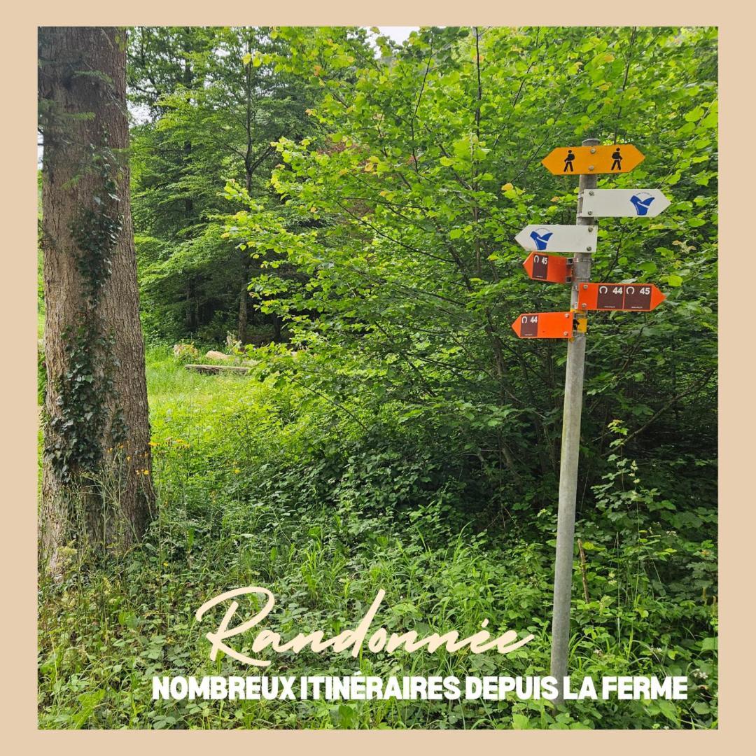 CourcelonLa Ferme Du Solvat公寓 外观 照片